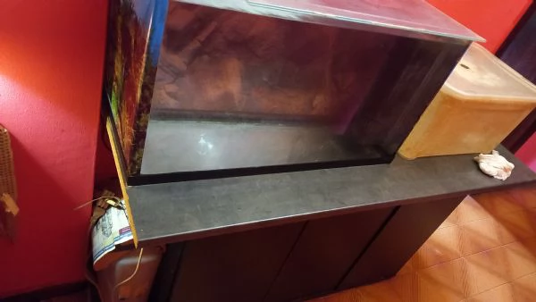 ACQUARIO JUWEL RIO  450 LITRI | Foto 5