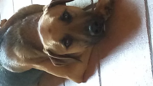 YAGO cerca nuova casa