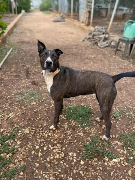 CERES CERCA CASA | Foto 0