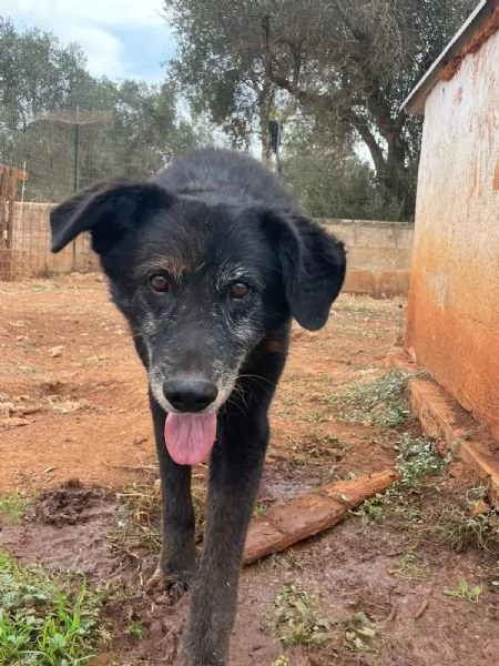 UGO CERCA CASA | Foto 0