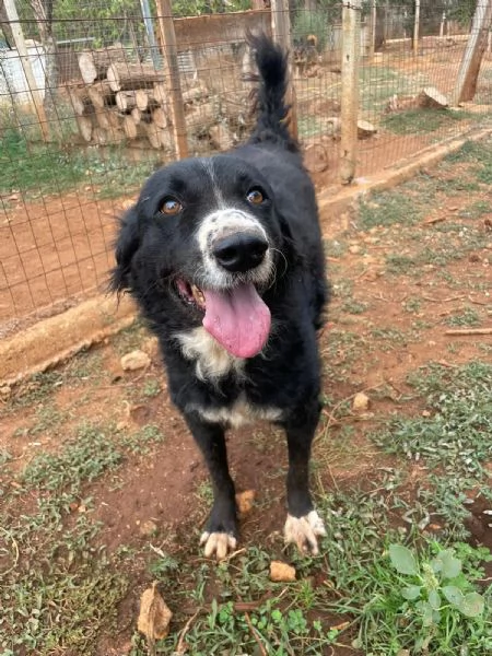 CORONA CERCA CASA | Foto 0