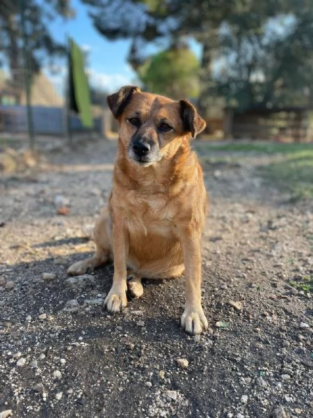 MILA CERCA CASA | Foto 0