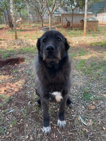 BENEDETTO CERCA CASA