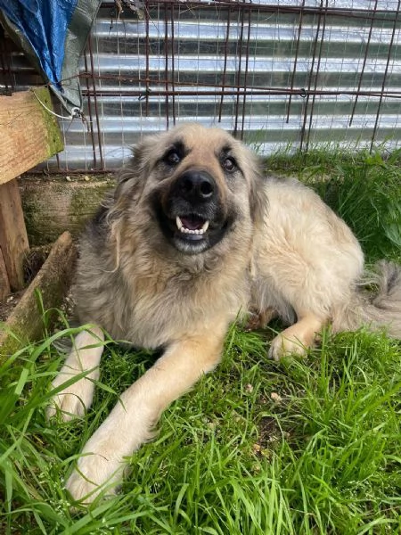 SANDRA CERCA CASA | Foto 0