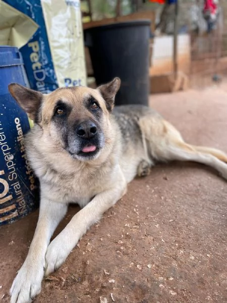 BATUFFOLO CERCA CASA