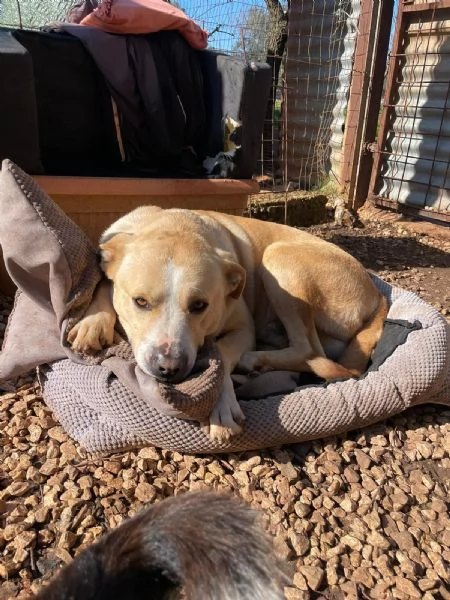 TEO CERCA CASA | Foto 0