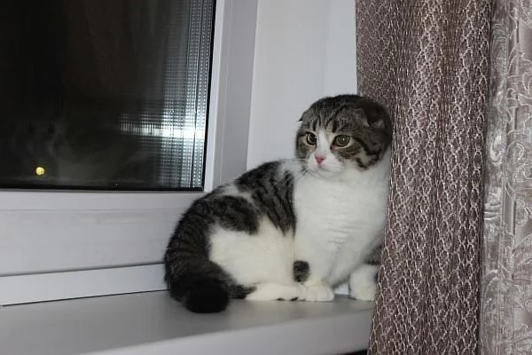  | Foto 0