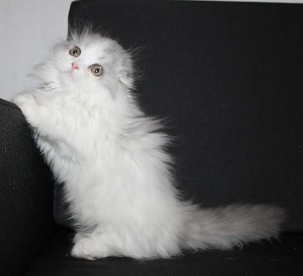  | Foto 1