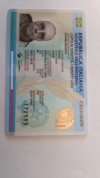 cuccioli di bassotto | Foto 0