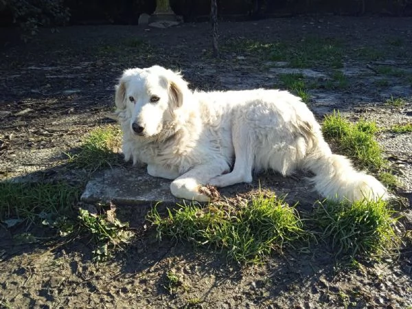 Penelope un’anima in cerca di amore  | Foto 1