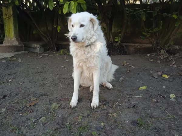 Penelope un’anima in cerca di amore  | Foto 0