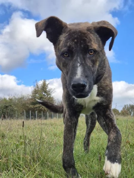 GIULIO . 1 ANNO | Foto 1