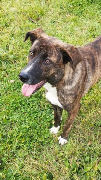 GIULIO . 1 ANNO | Foto 0