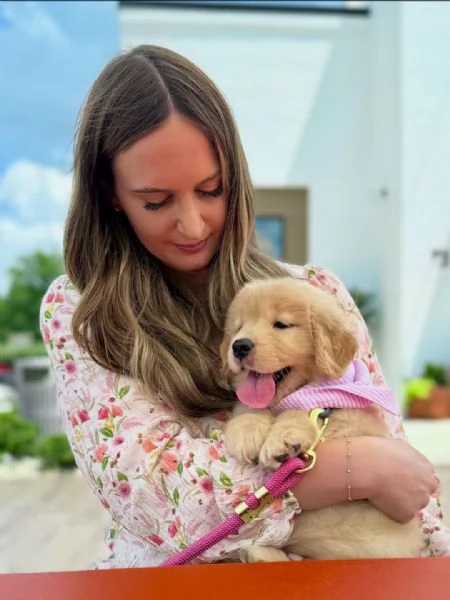 Cuccioli di golden retriever con pedigree | Foto 1