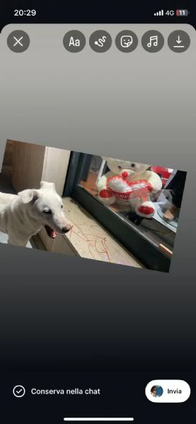 Chiara &egrave; alla ricerca di tanto amore  | Foto 5