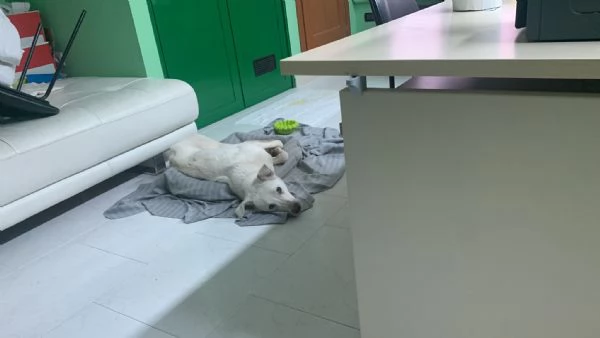 Chiara &egrave; alla ricerca di tanto amore  | Foto 4