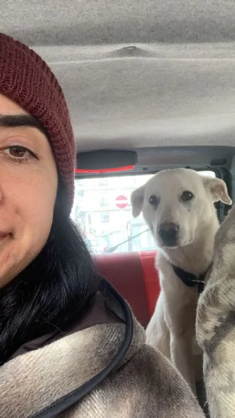 Chiara &egrave; alla ricerca di tanto amore 