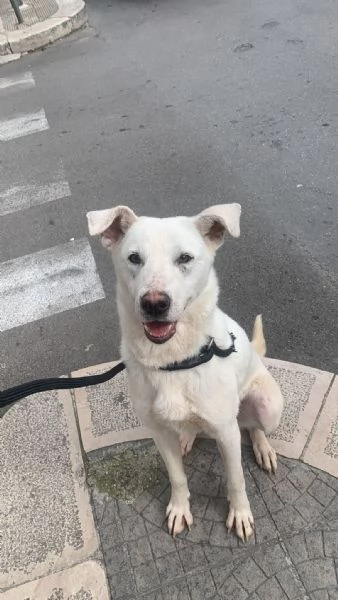 Chiara &egrave; alla ricerca di tanto amore  | Foto 1