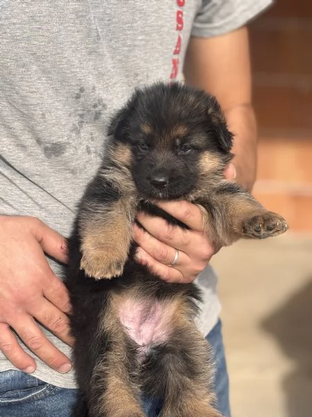 Cercano casa | Foto 3