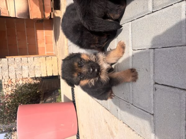 Cercano casa | Foto 2