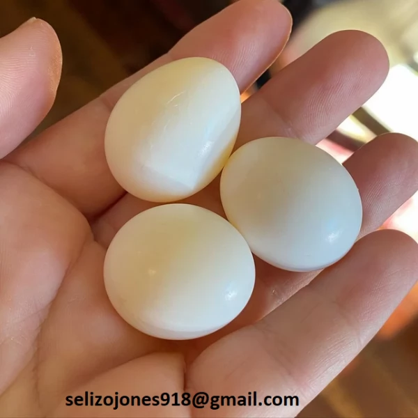 Offriamo varie razze di pappagalli e uova fertili. Vendiamo un'ampia variet&agrave; di pappagalli sani di d | Foto 0