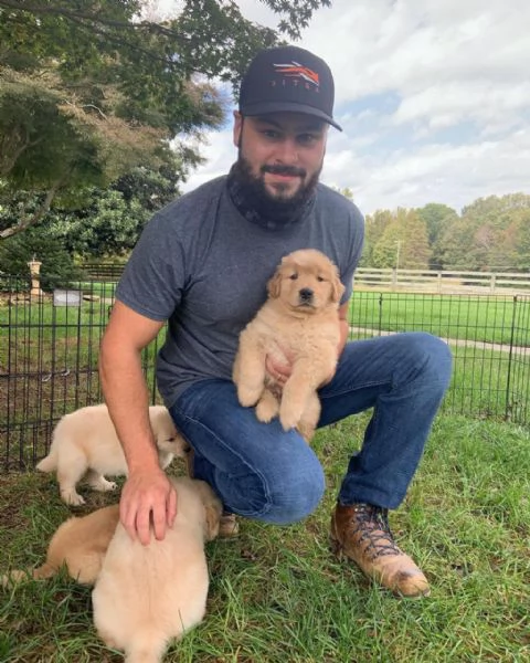 Cuccioli di Golden Retriever pronti | Foto 0