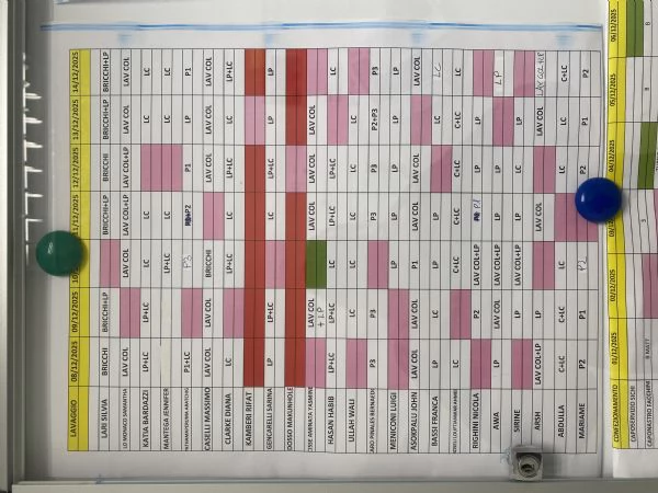 Cerco una Lagotta per farla accoppiare con il mio lagotto.  | Foto 3