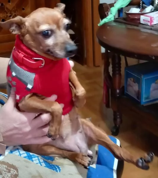 Titta, adozione del cuore | Foto 1