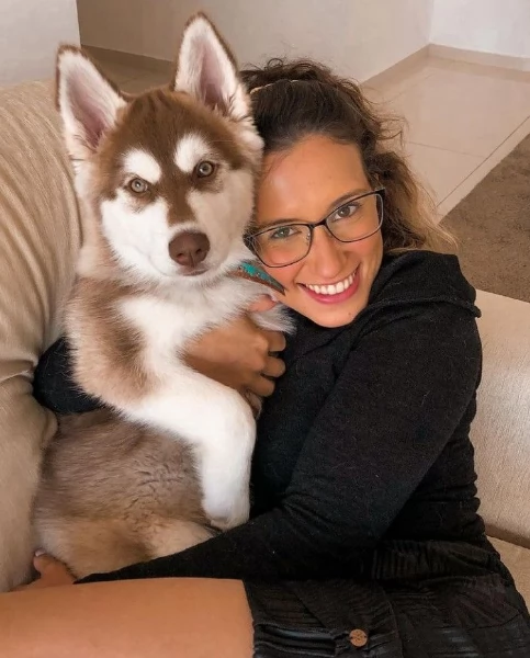 regalo per adozione siberian husky cuccioli | Foto 0