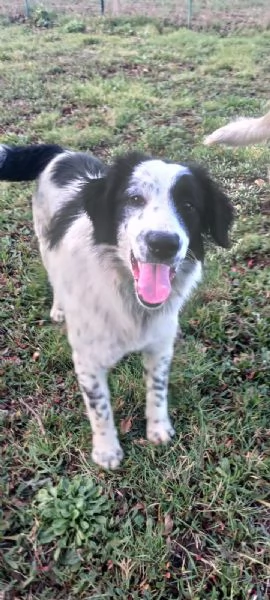 Zoe e Diego  | Foto 1