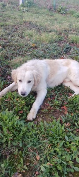 Diego e Zoe  | Foto 2