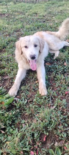 Diego e Zoe  | Foto 1