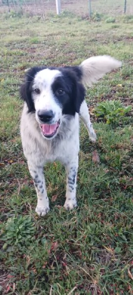 Diego e Zoe | Foto 2