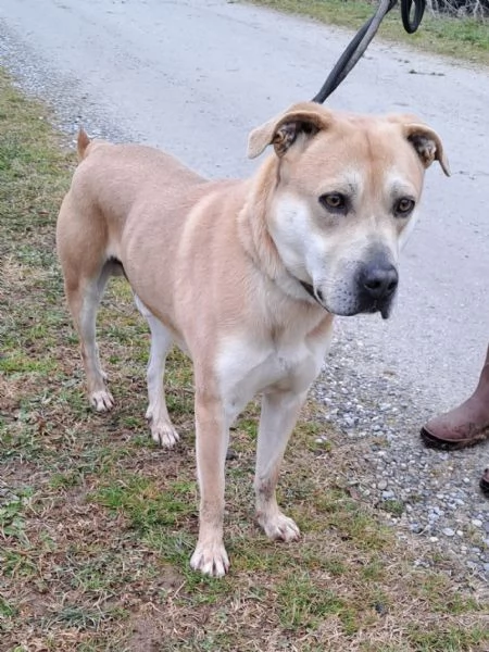 Affido CON URGENZA | Foto 0