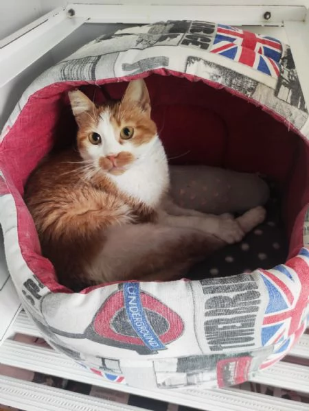 Una mamma per Lea! | Foto 4