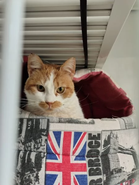 Una mamma per Lea! | Foto 2