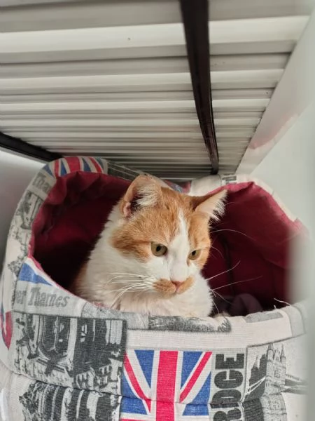 Una mamma per Lea! | Foto 1