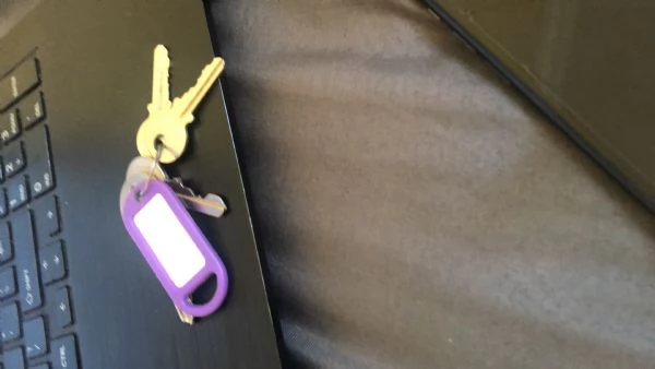 Golden Retriever (cuccioli maschio e femmina) | Foto 2