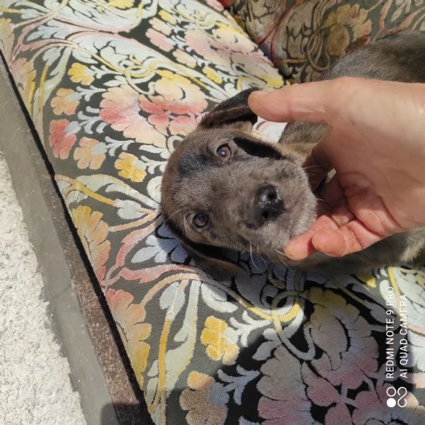 La banda dei 10 | Foto 2