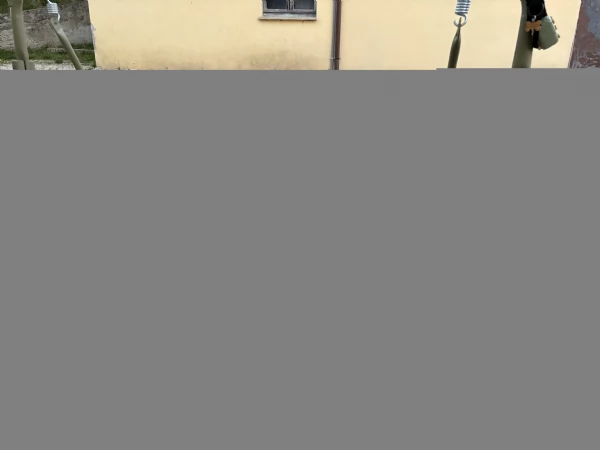 Cuccioli di Labrador in arrivo  | Foto 1