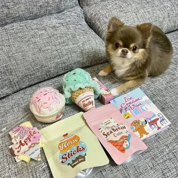 meravigliosi Chihuahua per adozione | Foto 6