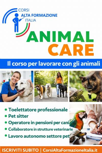 Corso Animal Care