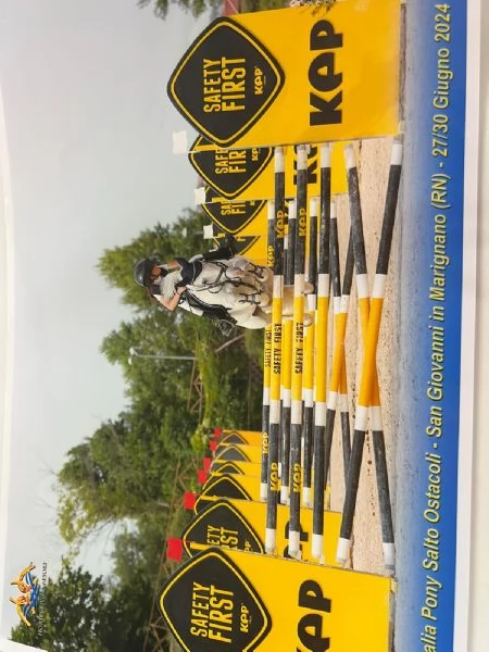 !!Pony Connemara!! | Foto 3