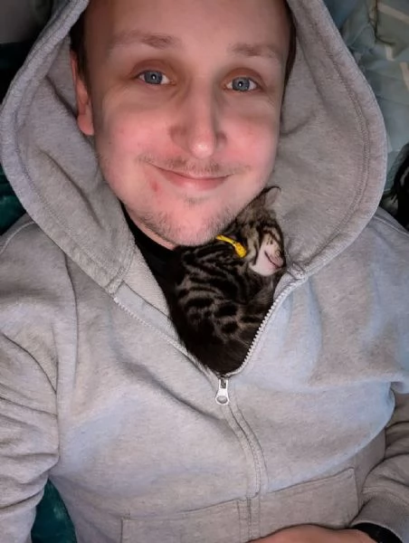 Splendido gattino Bengal in adozione – Pronto subito  | Foto 0