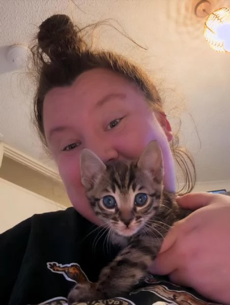 Rari cuccioli di Bengala in adozione – Disponibilit&agrave; limitata | Foto 3