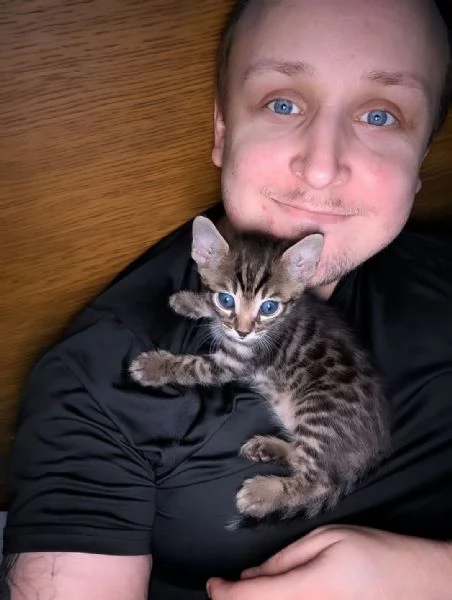 Rari cuccioli di Bengala in adozione – Disponibilit&agrave; limitata | Foto 0