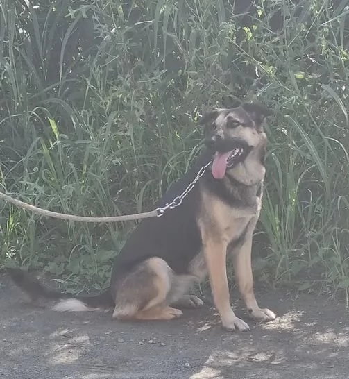 Taina, cerco casa urgentemente