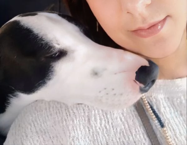 Pongo cucciolo 15 mesi | Foto 6