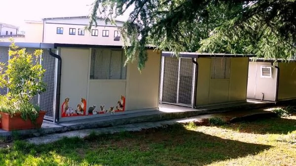 Pensione per cani e gatti  | Foto 2