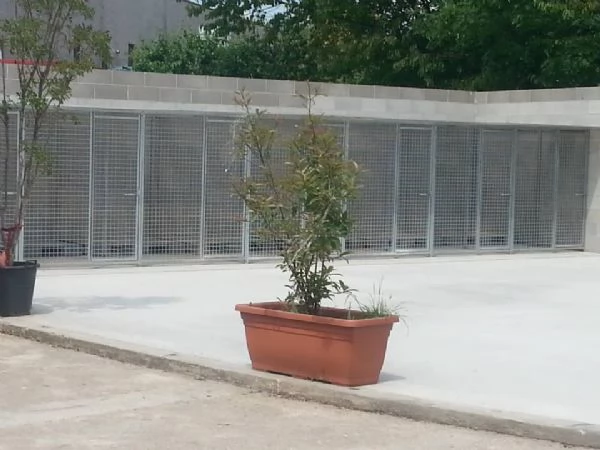 Pensione per cani e gatti  | Foto 0